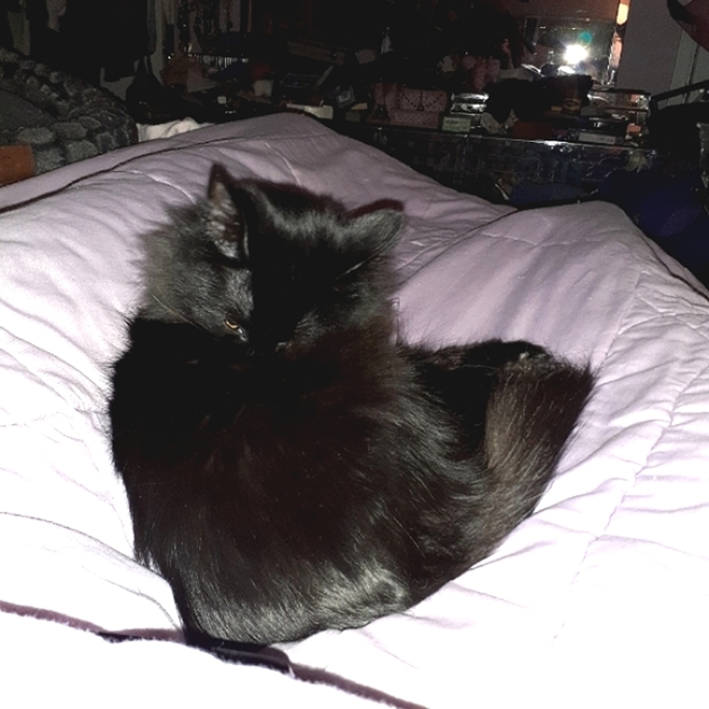 PRECIOUS (Ruler of home)